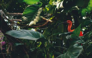 droga do wymarzonego zawodu